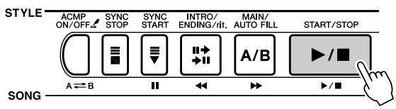 STYLE ACMP ON/OFF SYNC STOP SYNC START INTRO/ ENDING/rit. MAIN/ AUTO FILL START/STOP SONG A ⇌ B I I A / B ▶ / ■
