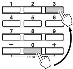 1 2 3 4 5 6 7 8 9 - 0 + RESET