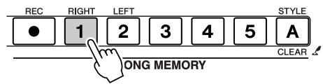 REC RIGHT LEFT STYLE ● 1 2 3 4 5 A LONG MEMORY CLEAR