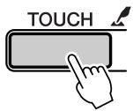 SONY DGX205 - Symbole « Press & Hold » (Appuyer et maintenir) - 1