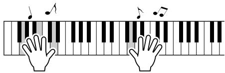 SONY DGX205 - Jouez au clavier. - 1