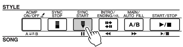 STYLE ACMP ON/OFF SYNC STOP SYNC START INTRO/ ENDING/rit. MAIN/ AUTO FILL START/STOP A ⇌ B SONG A/B ▶/■
