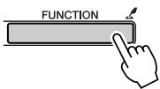 SONY DGX205 - Appuyez sur la touche [FUNCTION]. - 1