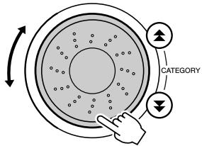 CATEGORY
