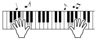 SONY DGX205 - ATTENTION - 2