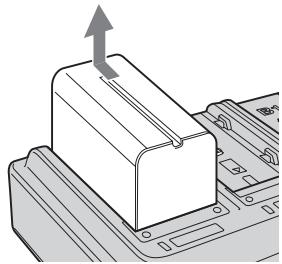 SONY AC-VQL1BP - Notas - 1