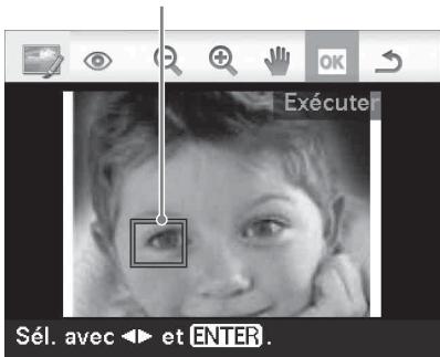 SONY DPP-FP95 - Remarque - 1