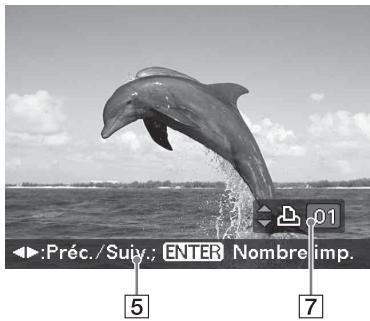 SONY DPP-FP95 - Affichage d'aperçu d'images - 2