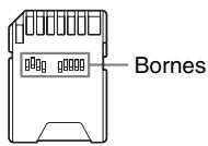 SONY DPP-FP95 - CarteSD - 1