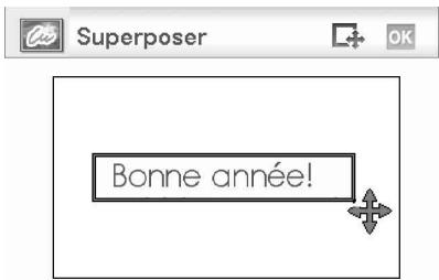 SONY DPP-FP95 - Pour indiquer la portion rognée - 2