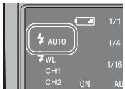 AUTO WL CH1 CH2 ON 1/1 1/4 1/16 AU