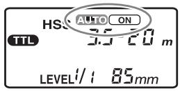 SONY HVL-F56AM - Program auto flash (The basics) - 2