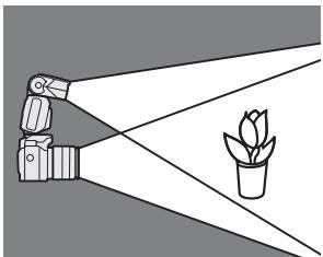SONY HVL-F56AM - Riprese ravvicinate (dissolventa a rimbalzo verso il basso) - 1