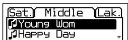Sat. Middle Lak. Young Wom Happy Day