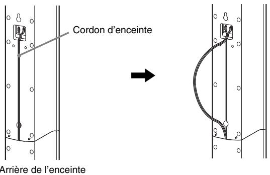 Cordon d'enceinte Arrière de l'enceinte