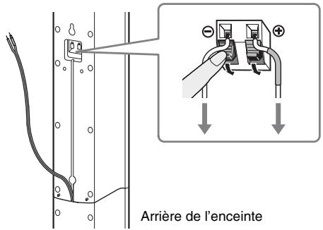 Arrière de l'enceinte
