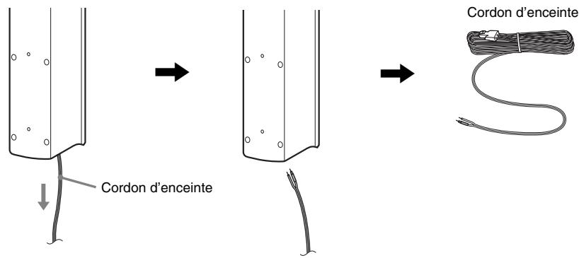 Cordon d'enceinte Cordon d'enceinte Cordon d'enceinte