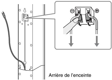 Arrière de l'enceinte