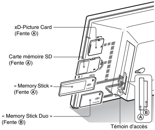 xD-Picture Card (Fente Ⓐ) Carte mémoire SD (Fente Ⓐ) « Memory Stick » (Fente Ⓐ) « Memory Stick Duo » (Fente Ⓐ) Témoin d'accès