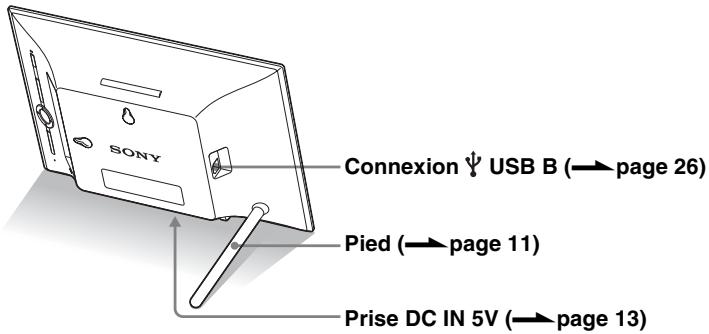 SONY DPF-X95 - Cadr photo numérique - 1