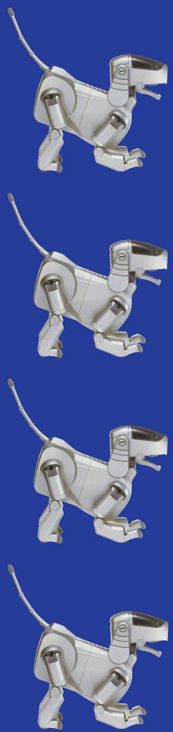 SONY ERS-111W - Why does AIBO mature? - 2
