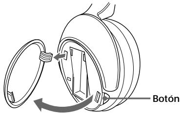 Botón