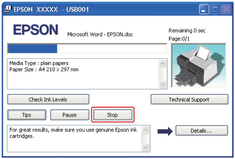 EPSON B-300 - Sous Windows - 1