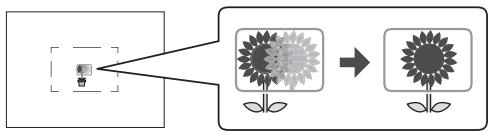 EPSON R-D1S - Mise au point - 1