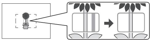 EPSON R-D1S - Mise au point - 2