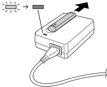 EPSON R-D1S - Chargement de la pile - 3