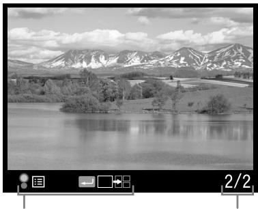 EPSON R-D1S - Affichage de l'image - 1