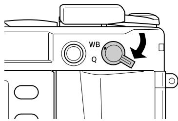 EPSON R-D1S - Définition de la balance des blancs - 1