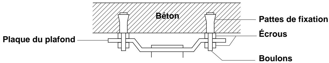 Béton Plaque du plafond Pattes de fixation Écrous Boulons