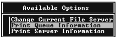 EPSON GUIDE RESEAU - Création de files d'attente d'impression sur un serveur de fichiers - 1