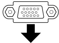 EPSON ELPDC11 - Configuration et utilisation de base - 5
