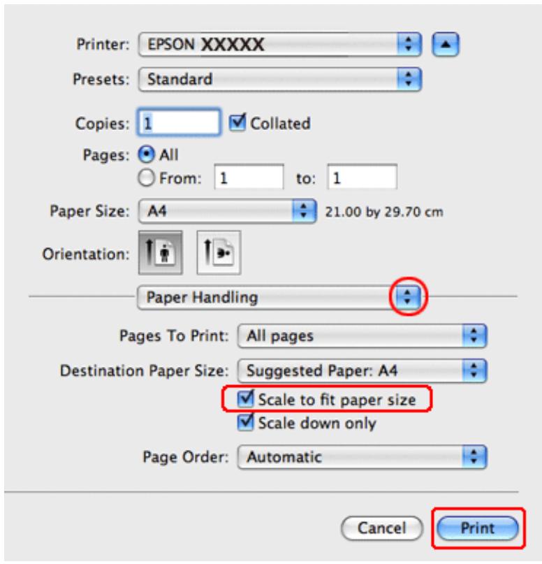 EPSON WORKFORCE PRO WP-4595 DNF - Paramètres d'impression pour les utilisateurs de mac OS x 10.5 ou 10.6 - 3
