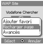 PANASONIC X60 - Options du Navigateur (Recharger page)...... - 1