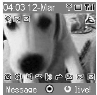 PANASONIC X60 - Ecran - 1