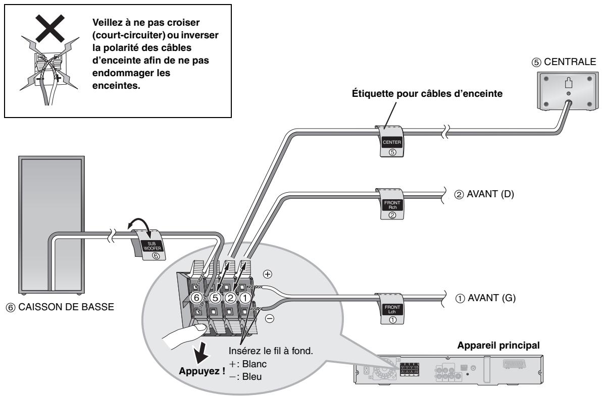 PANASONIC SC-HT545W - Raccordement des enceintes - 2