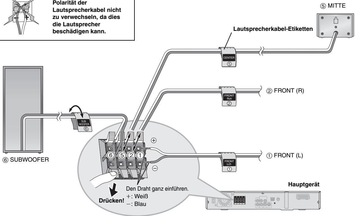 PANASONIC SC-HT545W - Bogen mit Etiketten für Lautsprecherkabel - 3
