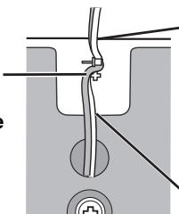 PANASONIC SC-HT870 - Attachez le cable d'enceinte à la base. - 1