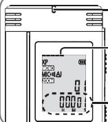 PANASONIC RRUS571 - Anzeige während der Aufnahme - 1
