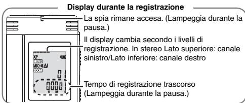 PANASONIC RRUS571 - Premere [REC/PAUSE] (La registrazione comincia). - 1