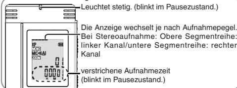 PANASONIC RRUS590 - Anzeige während der Aufnahme - 1
