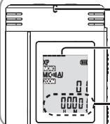 PANASONIC RRUS590 - Visualización durante la grabación - 1