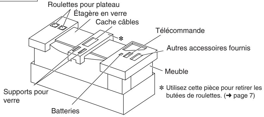 PANASONIC SC-HTX5 - Accessoires fournis - 2