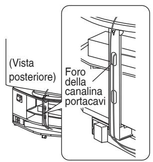 PANASONIC SC-HTX5 - Per la rimozione - 1