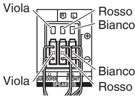 PANASONIC SC-HTX5 - Terminali dei diffusori - 1