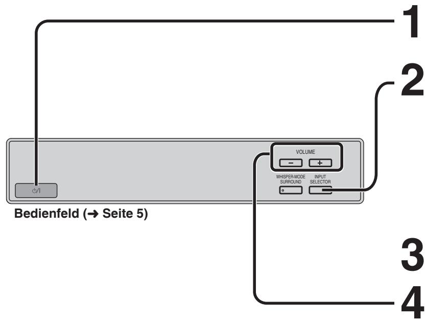 PANASONIC SC-HTX5 - Bedienung des Bedienfeldes - 1