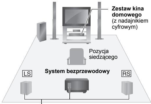 PANASONIC SHFX70 - n.p. 5.1-kanalowa - 1